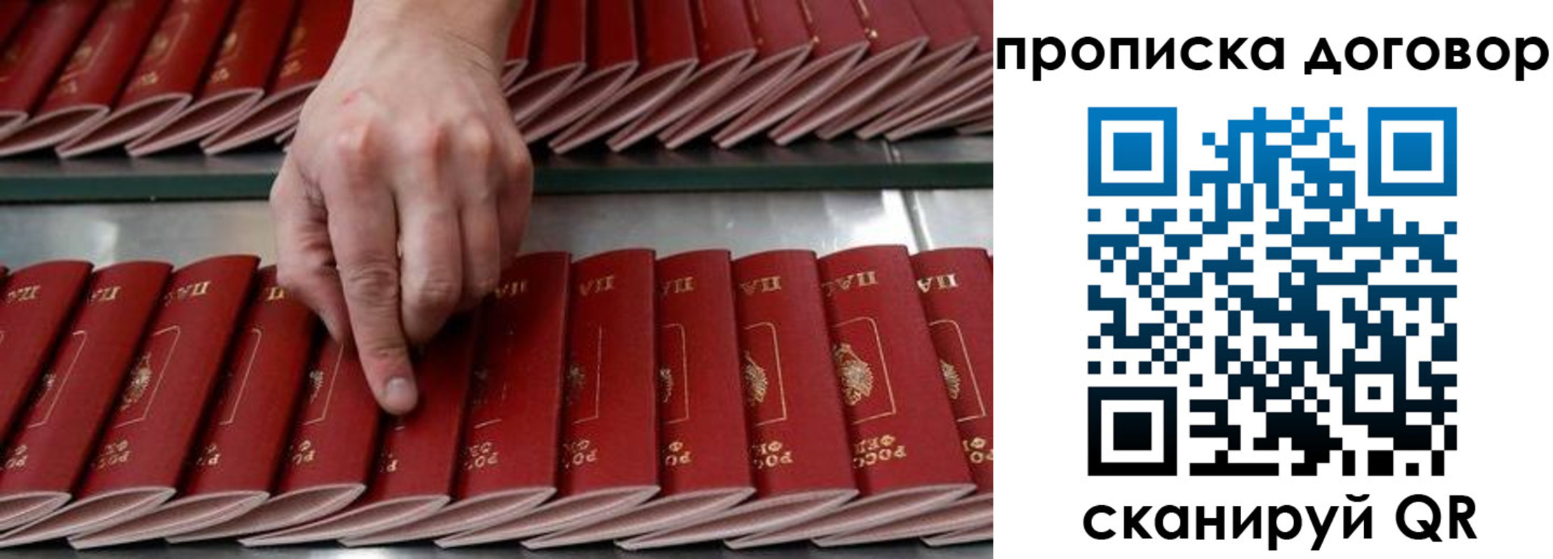 прописка для школы в Новокузнецке